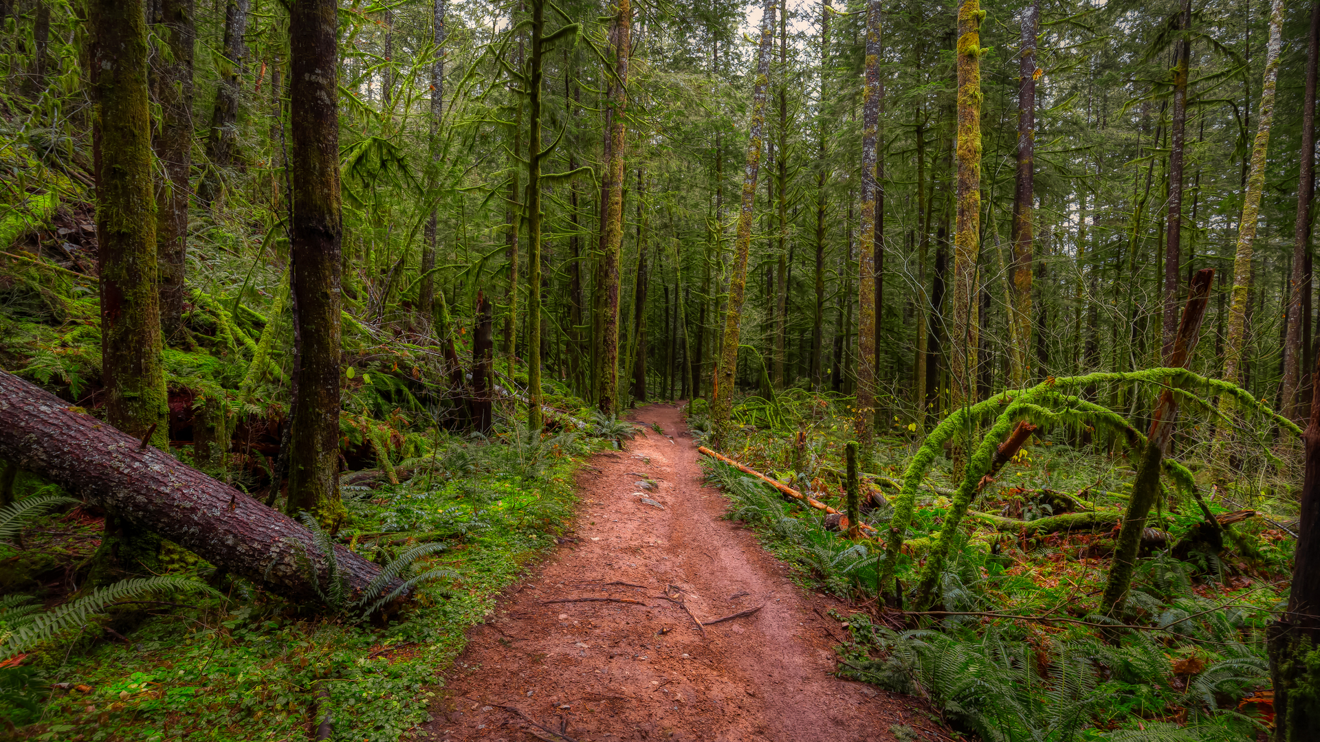 https://dialedincycling.com/wp-content/uploads/2021/01/shutterstock_1869812509-1.jpg